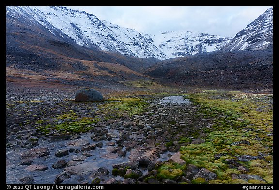 Field of angular rocks alternating with moss and Three River Mountain. Gates of the Arctic National Park, Alaska, USA.