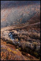 Stream, willows, and rocky slope. Gates of the Arctic National Park ( color)