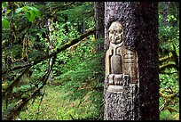 Tree carved by native Tlingit indians, Bartlett Cove. Glacier Bay National Park, Alaska, USA.