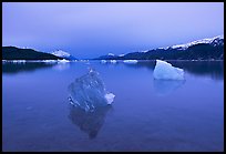 Pictures of Glacier Bay