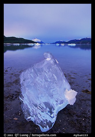 Translucent Iceberg near Mc Bride glacier, Muir inlet. Glacier Bay National Park, Alaska, USA.