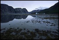 Mud flats above White Thunder ridge, Muir inlet. Glacier Bay National Park, Alaska, USA.