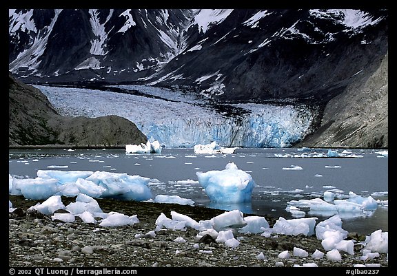 Mc Bride glacier, Muir inlet. Glacier Bay National Park (color)