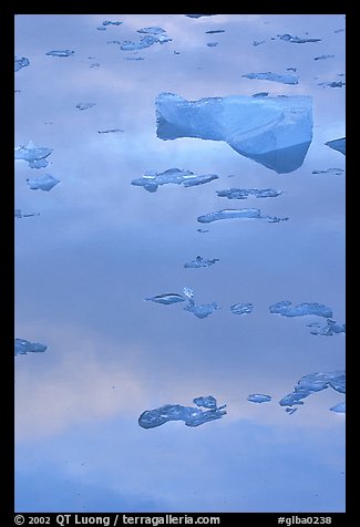 Reflections in Mc Bride inlet. Glacier Bay National Park (color)