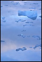 Reflections in Mc Bride inlet. Glacier Bay National Park, Alaska, USA.