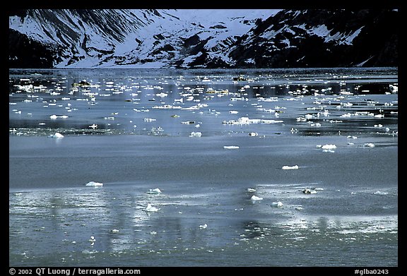 Icebergs and reflections, West arm. Glacier Bay National Park (color)