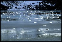 Icebergs and reflections, West arm. Glacier Bay National Park, Alaska, USA.