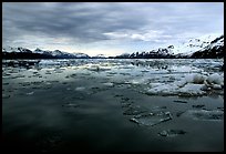 Ice-choked waters, West arm. Glacier Bay National Park, Alaska, USA.