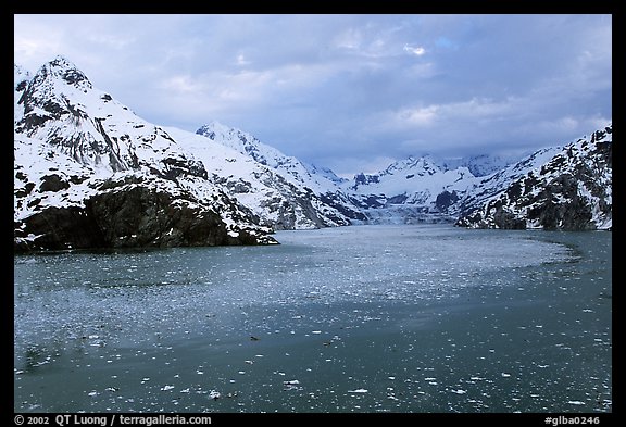 John Hopkins inlet with floating ice in late May. Glacier Bay National Park, Alaska, USA.