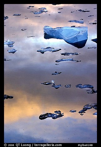 Ice and sunset reflections, Mc Bride inlet. Glacier Bay National Park (color)