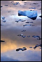 Ice and sunset reflections, Mc Bride inlet. Glacier Bay National Park, Alaska, USA.