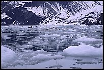 Ice-chocked waters in John Hopkins inlet. Glacier Bay National Park ( color)