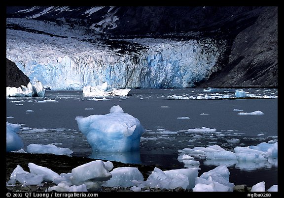 Mc Bride glacier. Glacier Bay National Park, Alaska, USA.