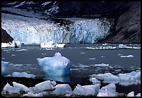 Mc Bride glacier. Glacier Bay National Park, Alaska, USA. (color)