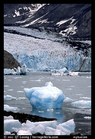 Mc Bride glacier. Glacier Bay National Park (color)