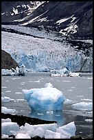 Mc Bride glacier. Glacier Bay National Park ( color)
