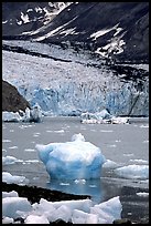 Mc Bride glacier. Glacier Bay National Park, Alaska, USA.