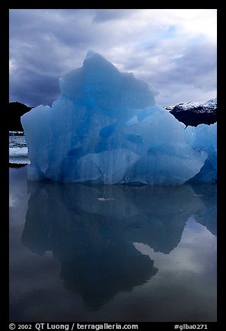 Blue iceberg, Mc Bride inlet. Glacier Bay National Park (color)