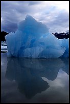 Blue iceberg, Mc Bride inlet. Glacier Bay National Park, Alaska, USA.