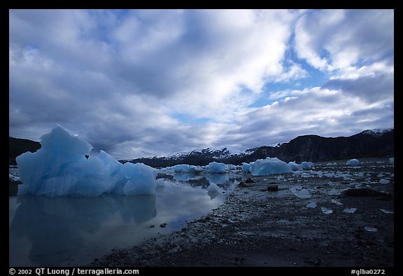 Iceberg, Mc Bride inlet. Glacier Bay National Park, Alaska, USA.