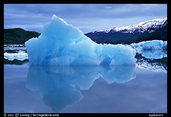 Blue iceberg, Mc Bride inlet. Glacier Bay National Park (color)