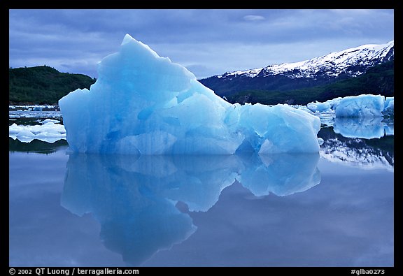 Blue iceberg, Mc Bride inlet. Glacier Bay National Park, Alaska, USA.