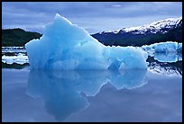 Blue iceberg, Mc Bride inlet. Glacier Bay National Park, Alaska, USA. (color)