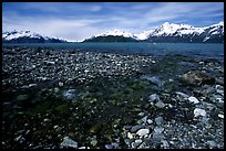 Stream and West arm. Glacier Bay National Park, Alaska, USA.