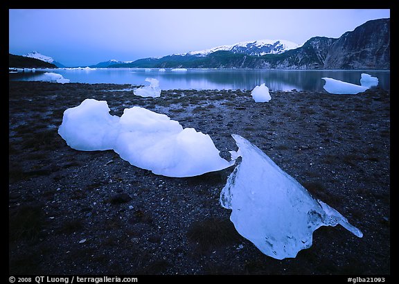 Icebergs near Mc Bride glacier, Muir inlet. Glacier Bay National Park (color)