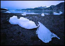 Icebergs near Mc Bride glacier, Muir inlet. Glacier Bay National Park, Alaska, USA.