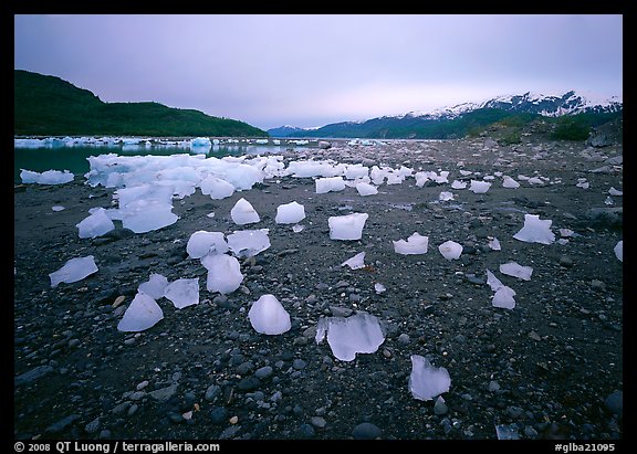 Icebergs near Mc Bride glacier, Muir inlet. Glacier Bay National Park (color)