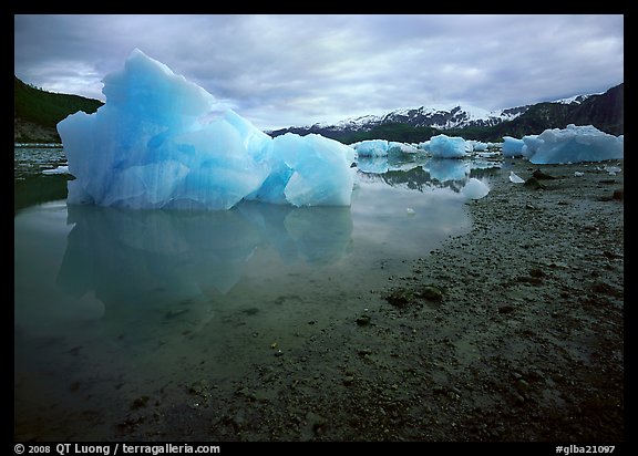 Blue icebergs beached near Mc Bride Glacier. Glacier Bay National Park (color)