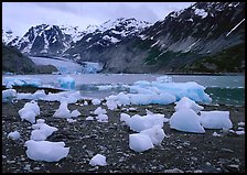 Beached icebergs and McBride Glacier. Glacier Bay National Park, Alaska, USA. (color)