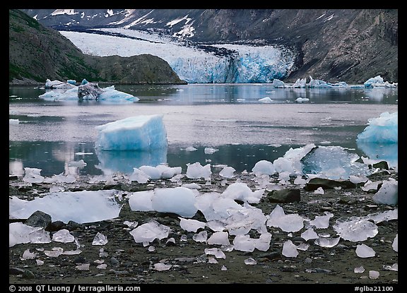 Icebergs, McBride Inlet, and McBride Glacier. Glacier Bay National Park, Alaska, USA.