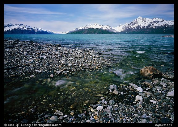 Stream and West arm. Glacier Bay National Park, Alaska, USA.