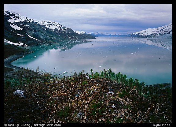 West arm seen from the entrance of John Hopkins inlet. Glacier Bay National Park (color)