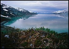 West arm seen from the entrance of John Hopkins inlet. Glacier Bay National Park, Alaska, USA.