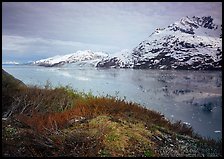 Snowy mountains and icy fjord seen from high point, West Arm. Glacier Bay National Park, Alaska, USA.