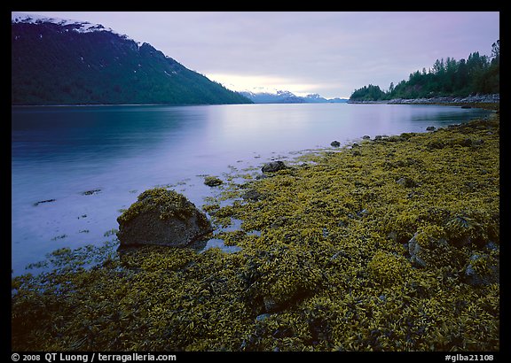 Charpentier inlet. Glacier Bay National Park, Alaska, USA.