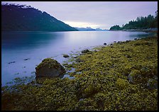 Charpentier inlet. Glacier Bay National Park, Alaska, USA.