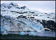 Lamplugh glacier and Mt Cooper. Glacier Bay National Park, Alaska, USA.