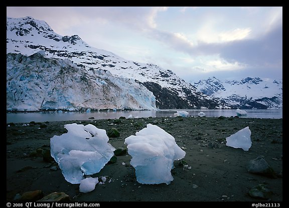 Lamplugh glacier and Mt Cooper. Glacier Bay National Park, Alaska, USA.