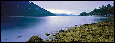 Moss-covered rocks in fjord. Glacier Bay National Park (Panoramic color)