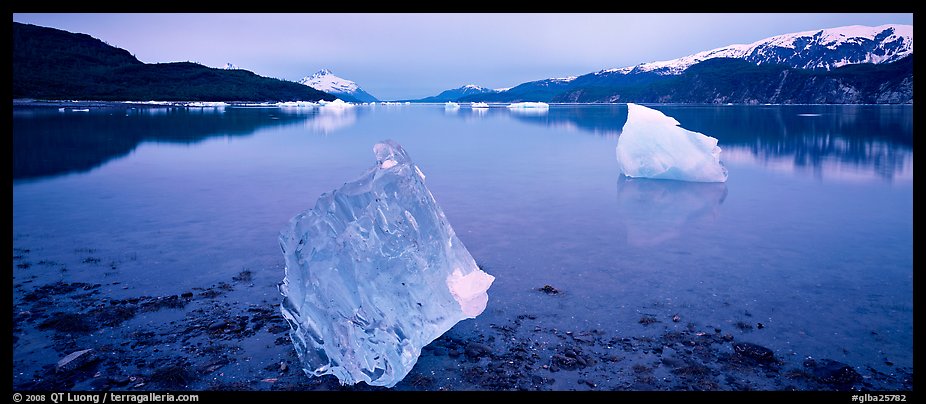 Transluscent iceberg at dawn. Glacier Bay National Park, Alaska, USA.