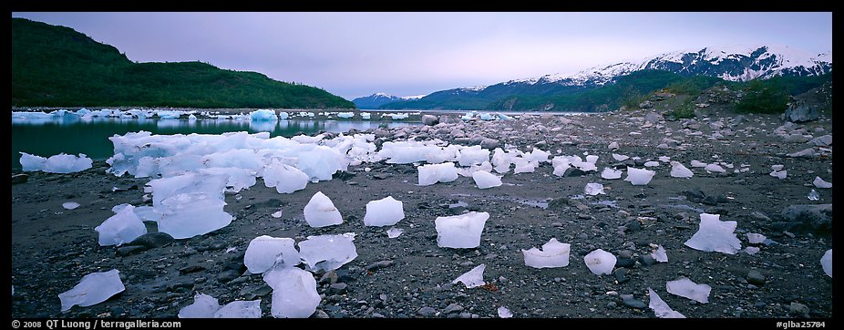 Landscape with beached icebergs. Glacier Bay National Park (color)