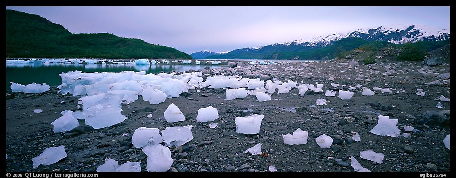 Landscape with beached icebergs. Glacier Bay National Park, Alaska, USA.