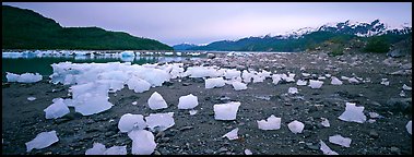 Landscape with beached icebergs. Glacier Bay National Park (Panoramic color)