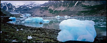 Glacial scenery with icebergs and glacier. Glacier Bay National Park, Alaska, USA.