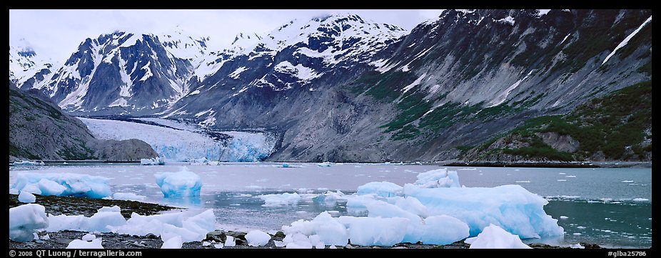 Coastal scenery with icebergs and tidewater glacier. Glacier Bay National Park, Alaska, USA.