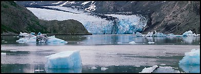 Glacier front and inlet. Glacier Bay National Park (Panoramic color)